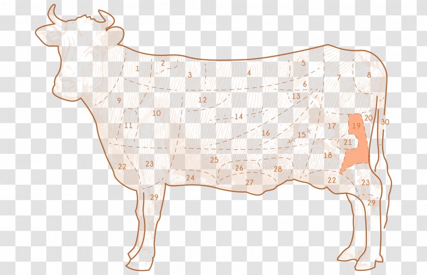Drawing Of Family - Fawn Dairy Cow Transparent PNG