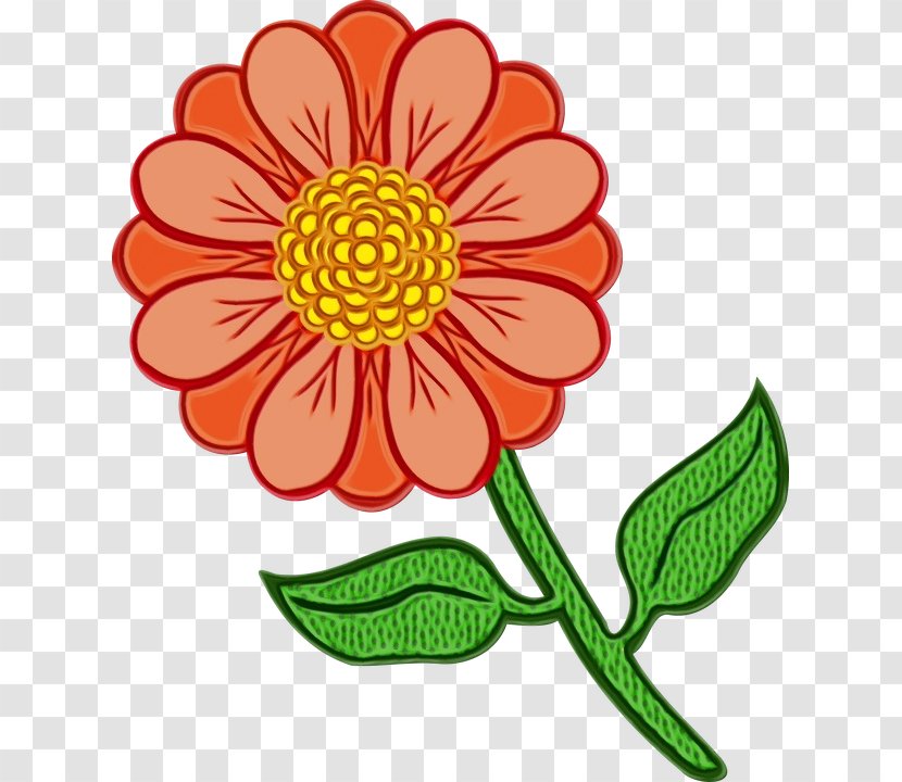 Flower Line Art - English Marigold - Wildflower Tagetes Transparent PNG
