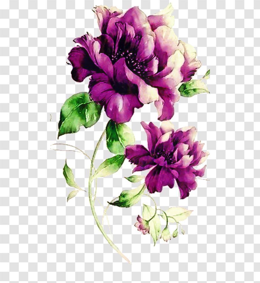 Bouquet Of Flowers Drawing - Common Peony - Artificial Flower Transparent PNG