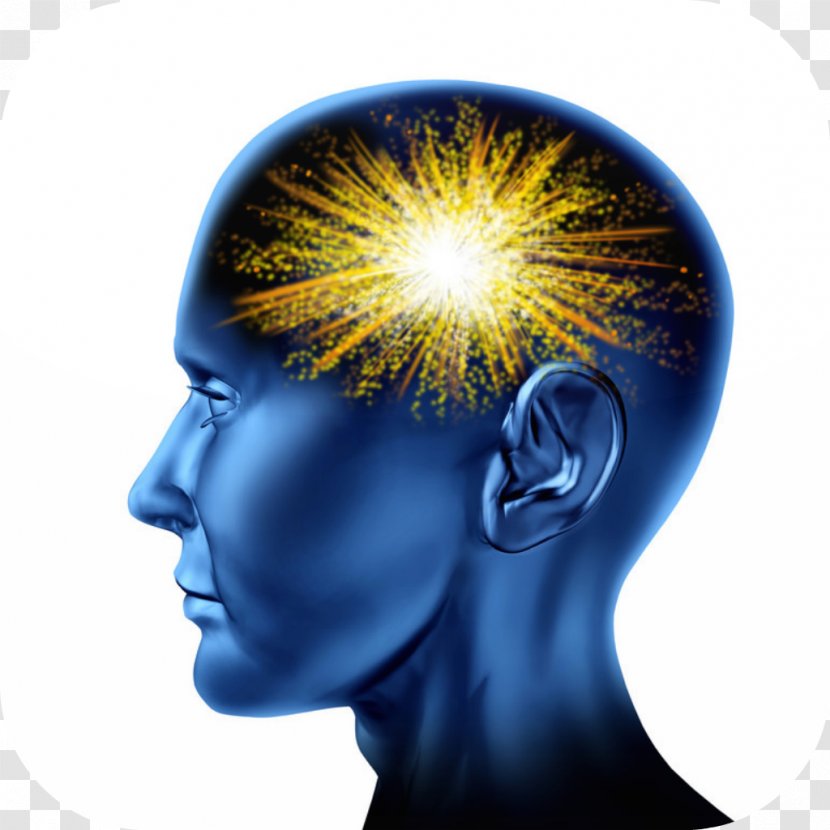 Human Brain Head Mind Homo Sapiens - Watercolor Transparent PNG