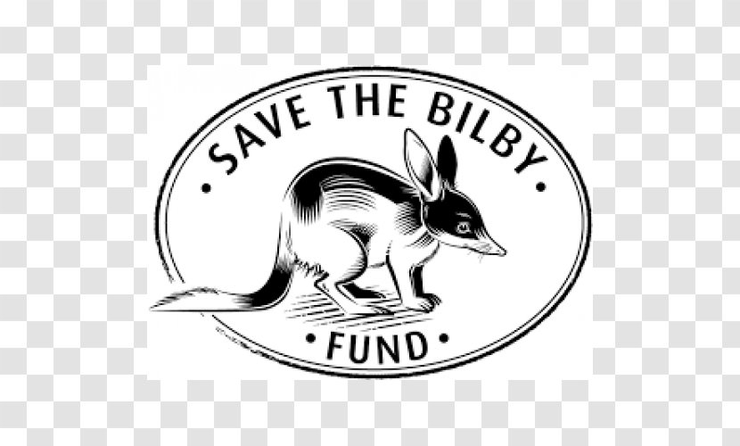 Easter Bilby Bilbies Taronga Zoo Sydney Rabbit Bedtime - Australian Green Tree Frog Transparent PNG