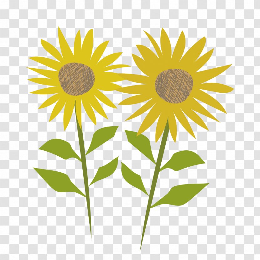 Web Browser Gfycat - Daisy - Sunflower Flower Transparent PNG