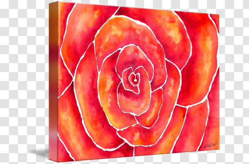Garden Roses Peach Rosaceae Orange - Cushion - Fox Watercolor Transparent PNG