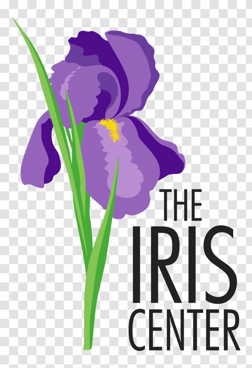 Iris Office Of Special Education Programs Learning Student Transparent PNG