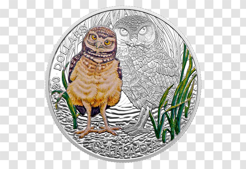 Owl Coin Canada Royal Canadian Mint Silver - Magic Transparent PNG