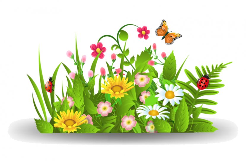 Clip Art Vector Graphics Openclipart Image - Flower - Sommerblumen Transparent PNG