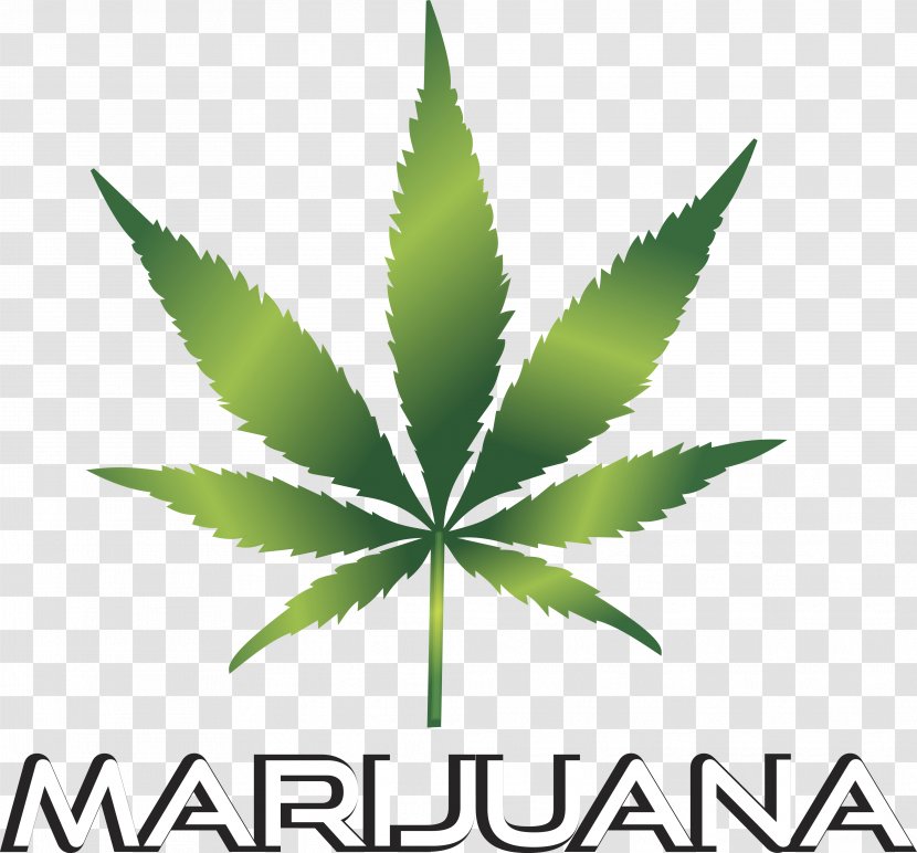 Cannabis Smoking Medical Clip Art Transparent PNG