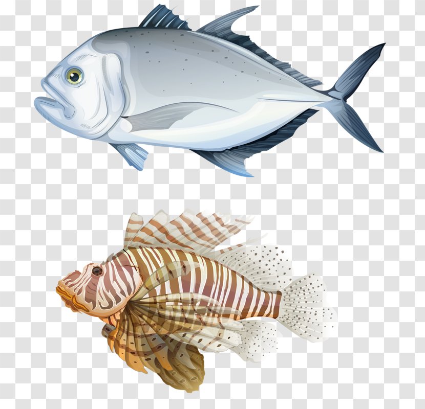 Giant Trevally Carangidae Royalty-free Illustration - White Fish And Flying Transparent PNG