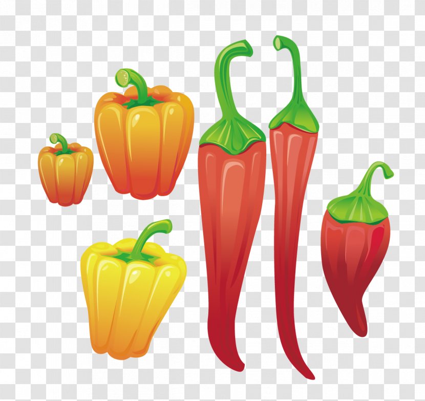 Chili Pepper Bell Cayenne Fruit - Nightshade Family - Vector Breeding And Red Transparent PNG