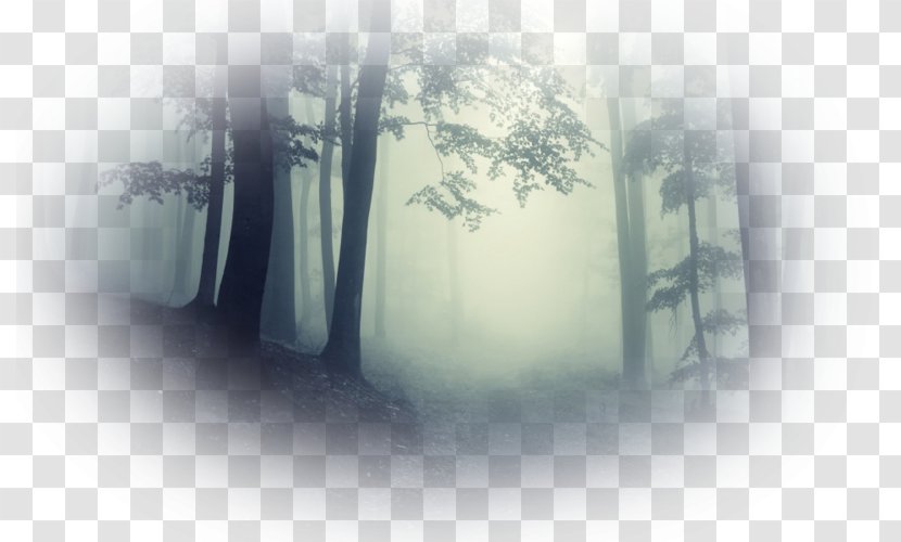 Cloud Forest Mist Fog Haze - Energy Transparent PNG