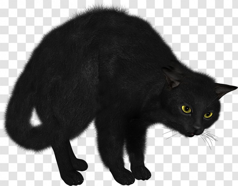 Sphynx Cat Kitten Clip Art - Tail Transparent PNG