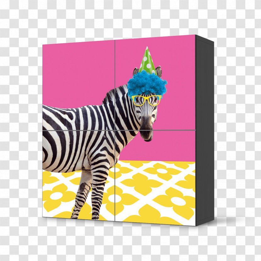 Zebra Picture Frames Product Rectangle Pattern - Horse Like Mammal Transparent PNG