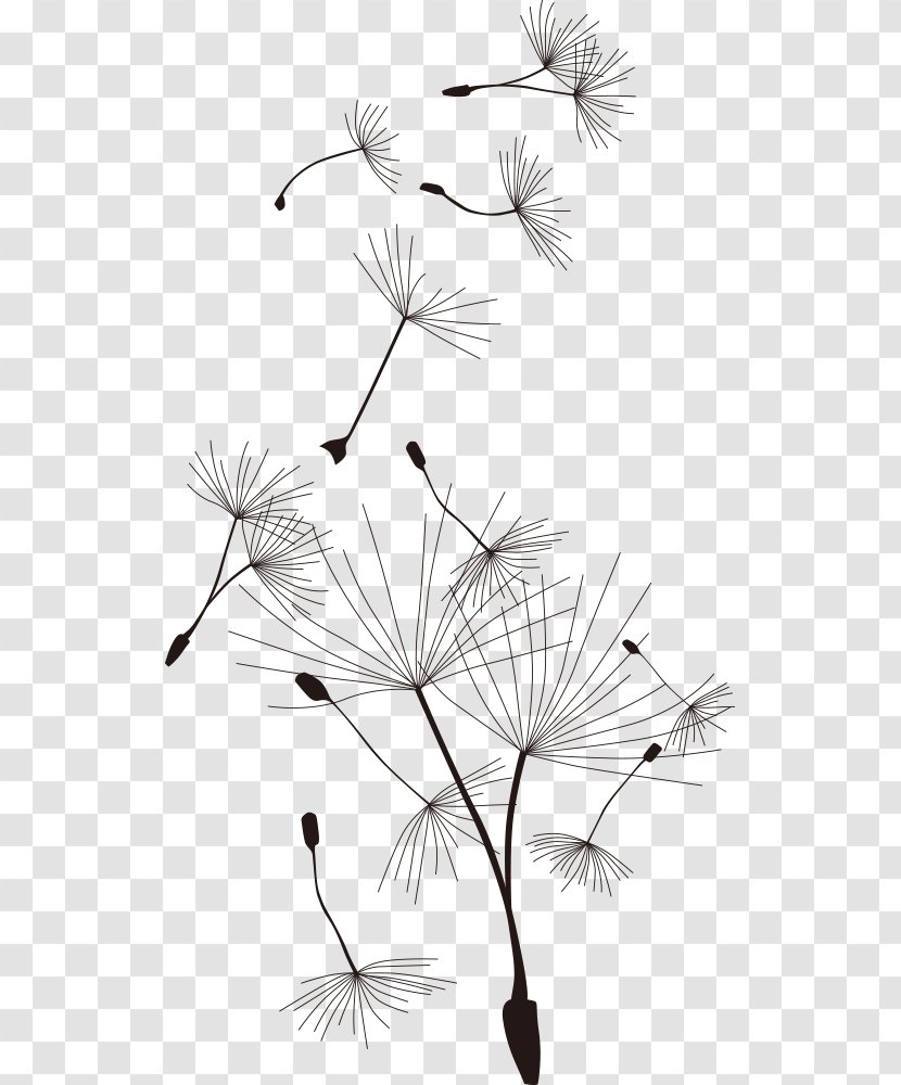 Common Dandelion T-shirt Cartoon - Plant - Wind Vector Transparent PNG