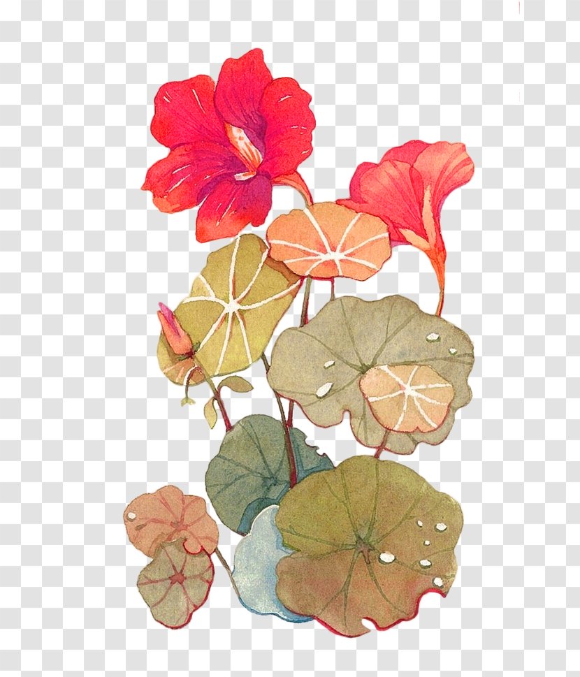 Flower Illustration - Concepteur - Red Fresh Lotus Decoration Pattern Transparent PNG