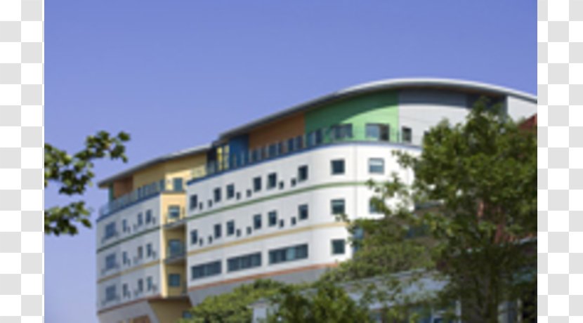 Kajima Construction Royal Alexandra Children's Hospital Project Corporation - Business Transparent PNG