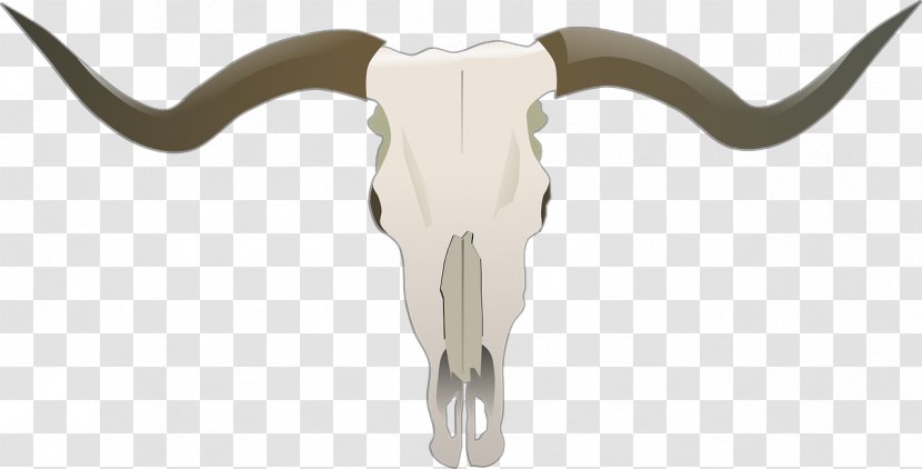 Texas Longhorn English Bull Clip Art - Bone Transparent PNG