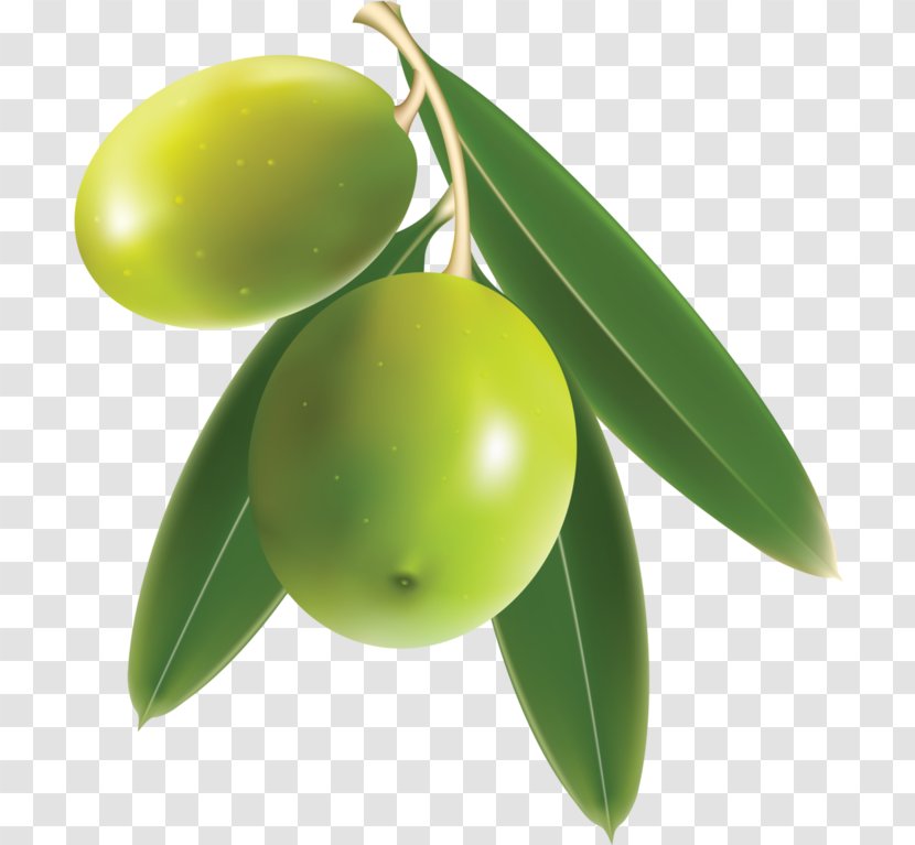 Olive Oil Food - Branch - Green Olives Transparent PNG