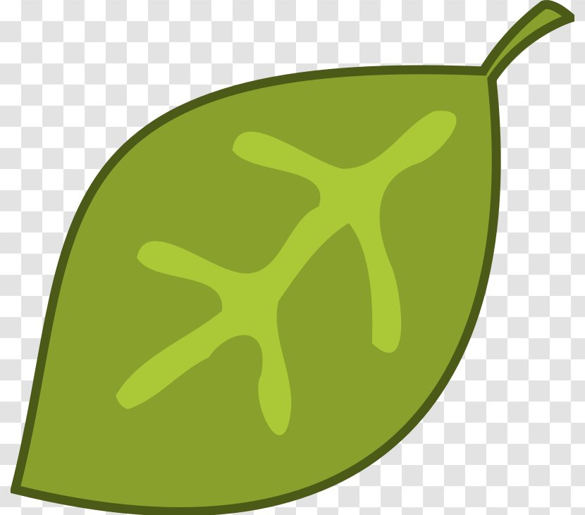 Clip Art - Organism - Green Transparent PNG