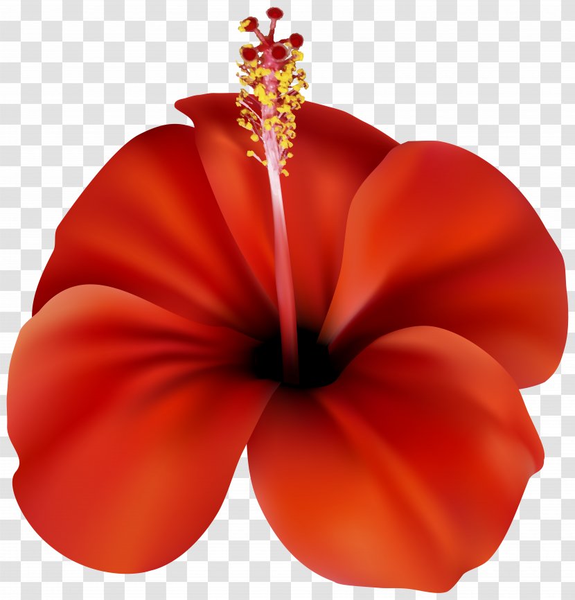 Flower Red Rose Clip Art Transparent PNG