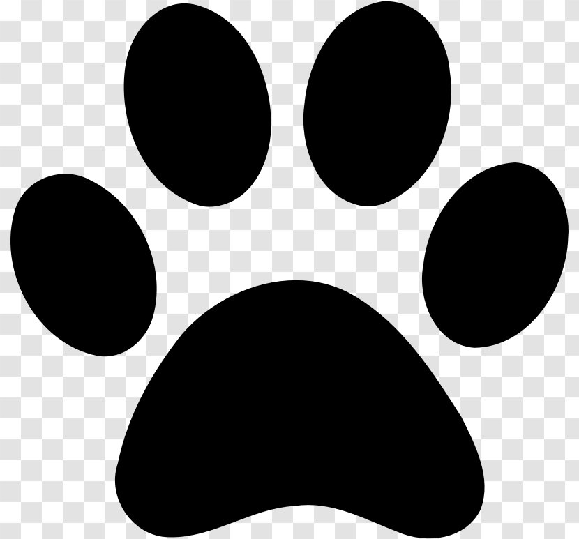 Dog And Cat - Claw - Whiskers Blackandwhite Transparent PNG