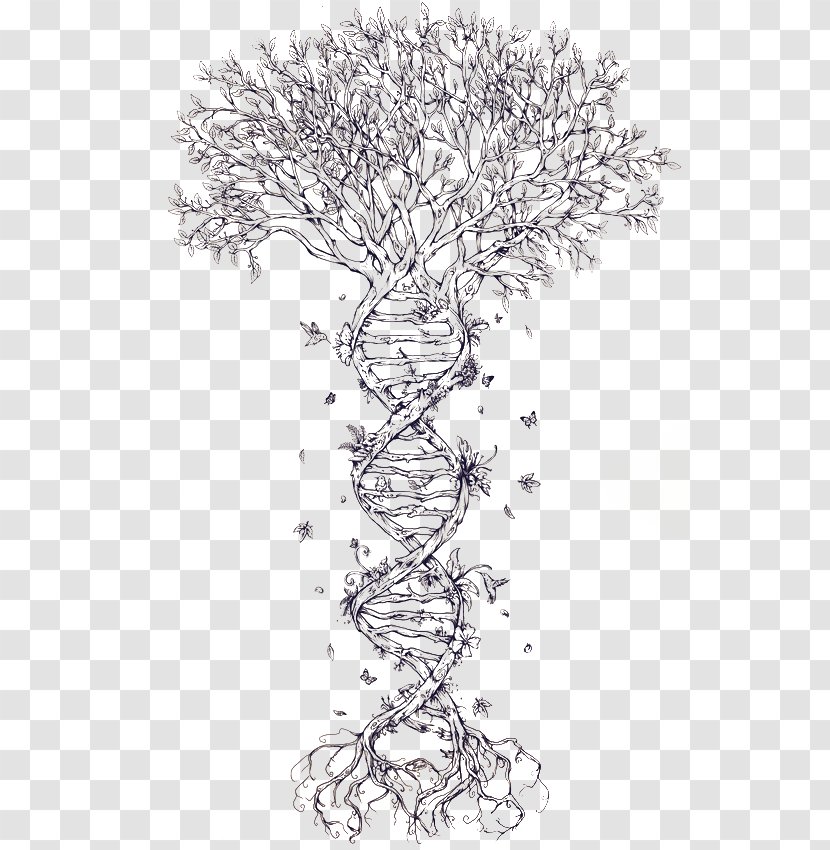 Family Tree DNA Tattoo Nucleic Acid Double Helix - Adna Transparent PNG