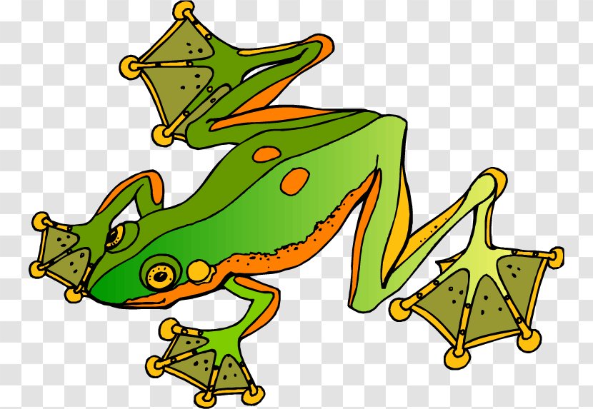 Poison Dart Frog Clip Art - Tree Transparent PNG