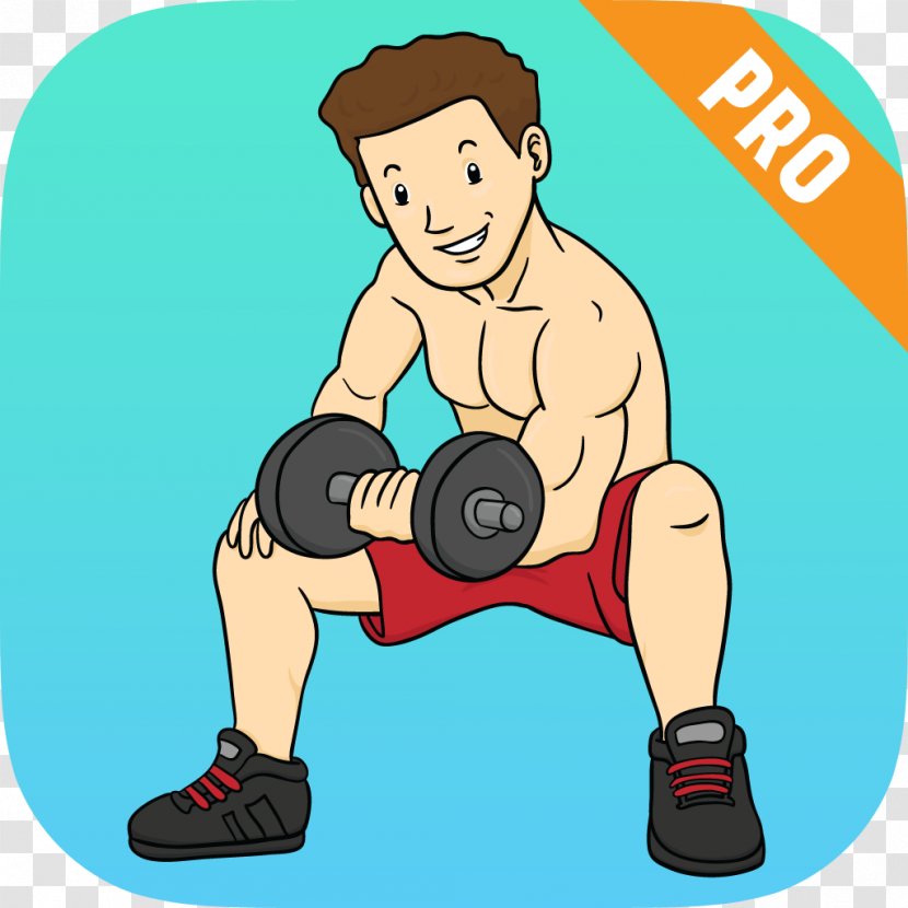Biceps Curl Weight Training Muscle Clip Art - Cartoon - Dumbbell Transparent PNG