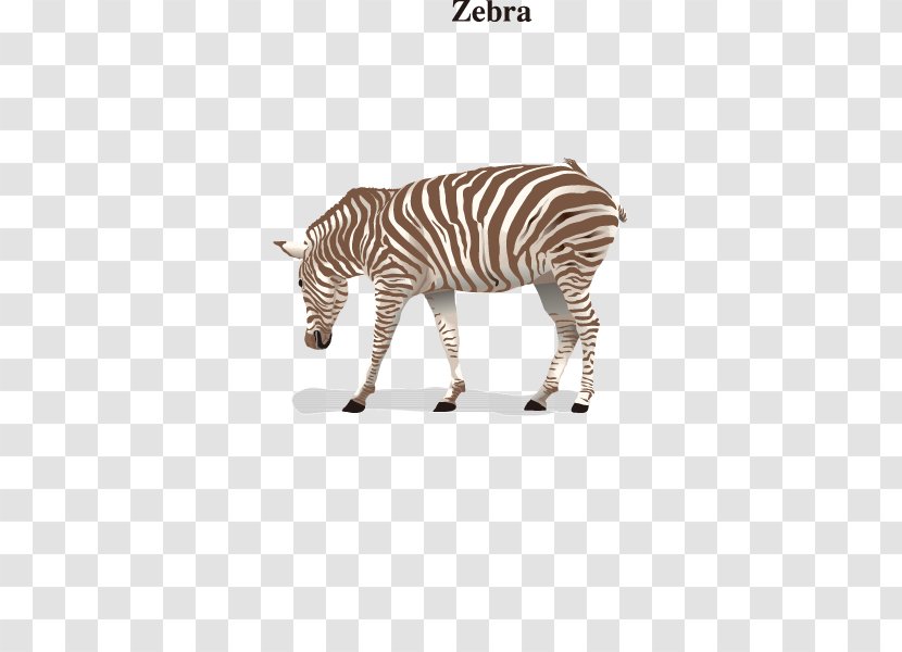 Quagga Adobe Illustrator Download Illustration - Vector Zebra Transparent PNG