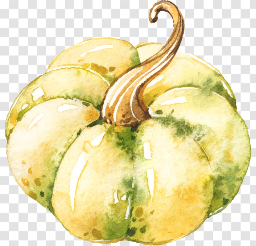Gourd Winter Squash Cucurbita Food Vegetable - Wax Transparent PNG