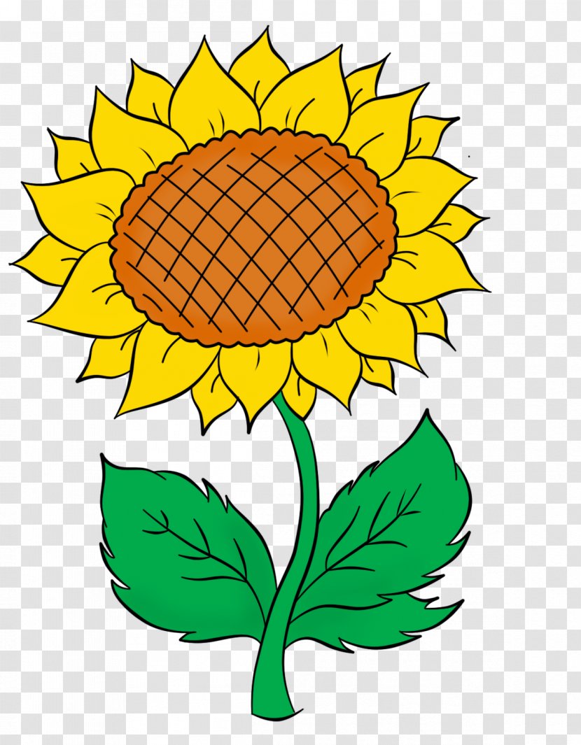 Common Sunflower Halva Seed Honey Yandex - Plant - Cartoon Leaves Transparent PNG