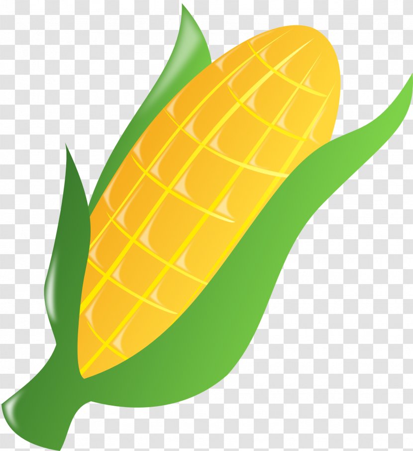 Popcorn Candy Corn On The Cob Maize Clip Art - Cauliflower Transparent PNG