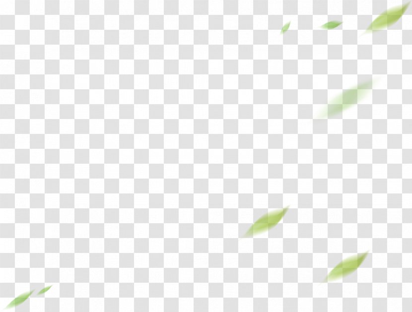 Plant Stem Leaf Desktop Wallpaper Font Computer - Grasses - Langur Gris Transparent PNG