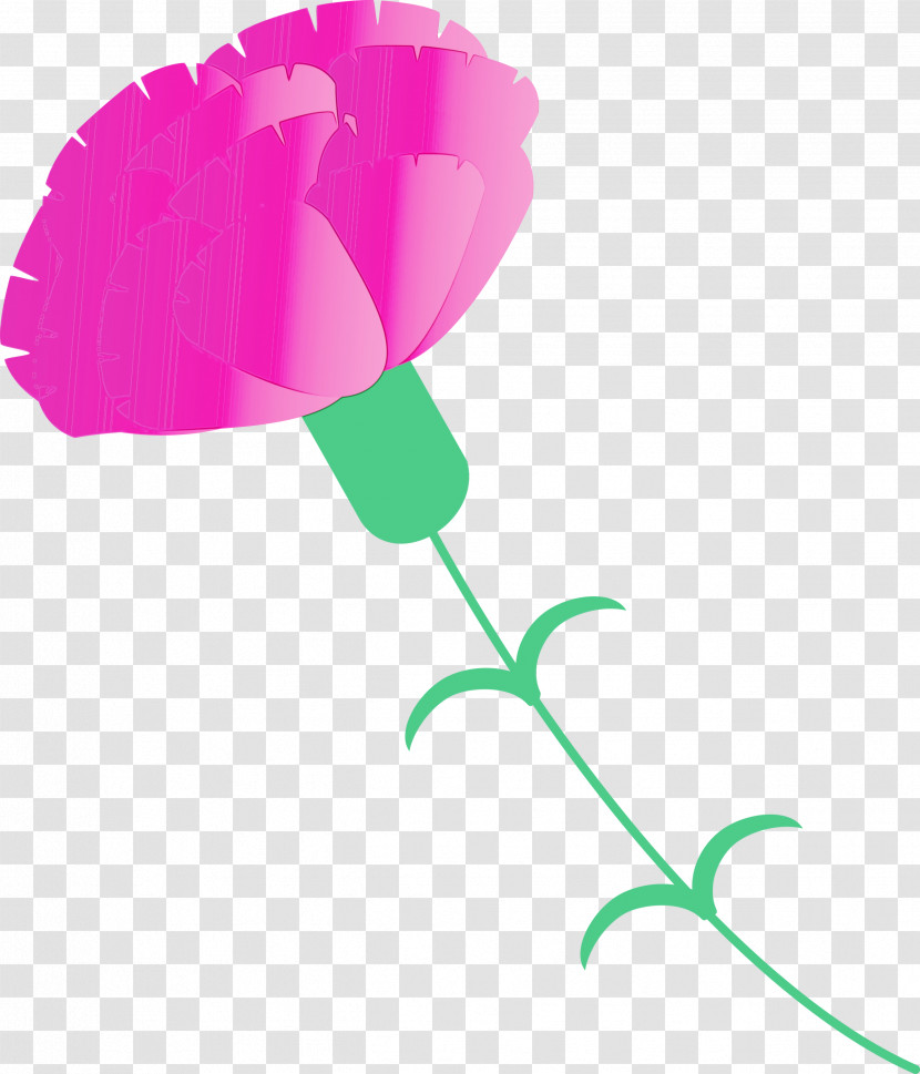 Pink Leaf Plant Flower Plant Stem Transparent PNG