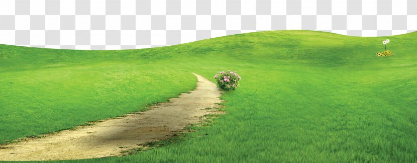 Crop Grassland Steppe Land Lot Rural Area - Terrain - Green And Fresh Grass Floor Decoration Design Transparent PNG