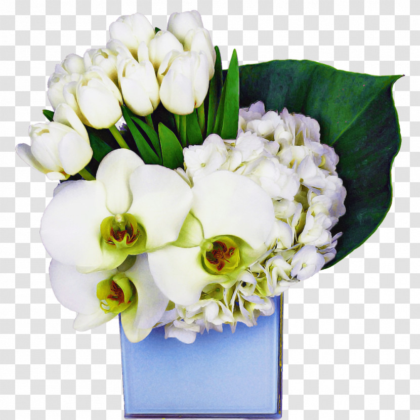 Floral Design Transparent PNG