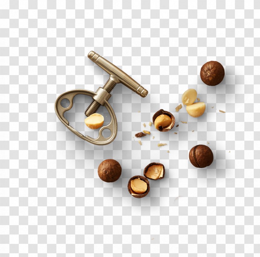 Food Macadamia Nut Capelli - Body Jewelry - Nuts Transparent PNG