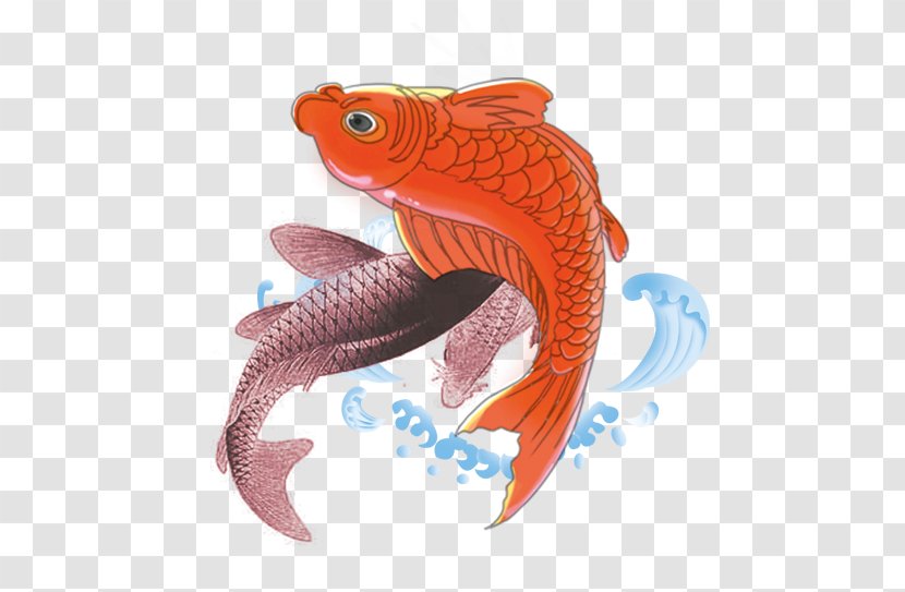 Koi Carp - A Fish Leaping Over The Dragon Gate -- Have Passed Competitive Examination Transparent PNG