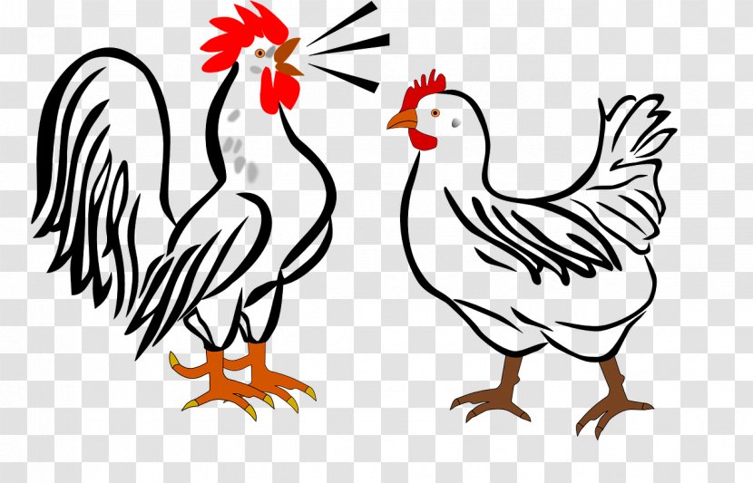 Houdan Chicken Leghorn Cochin Dorking Rooster - Livestock - Crow Transparent PNG