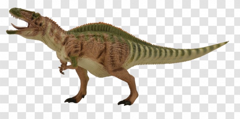 Acrocanthosaurus Tyrannosaurus Styracosaurus Neovenator Giganotosaurus - Cretaceous Transparent PNG