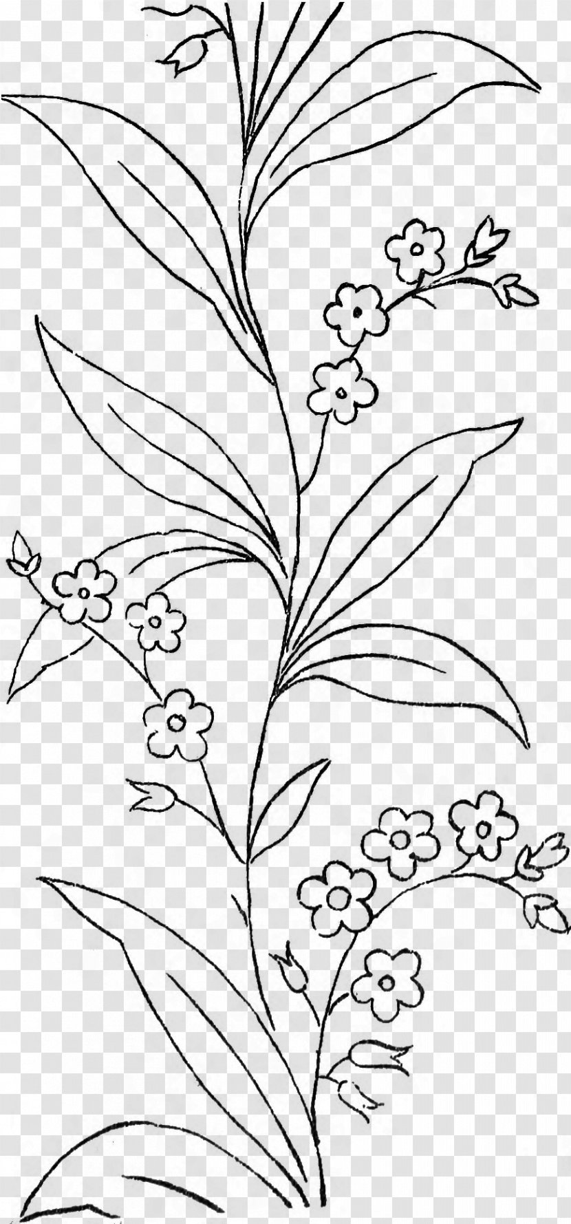 Black And White Leaf Line Art Drawing Coloring Book - Flora - Forget Me Not Transparent PNG