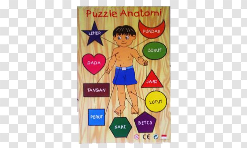 Toy Game Child Play Motor Skill - Body Transparent PNG