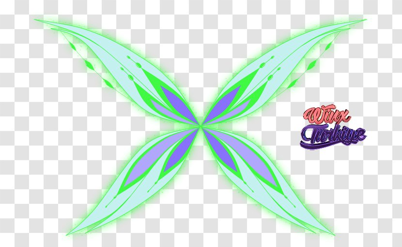 Bloom Stella Flora Winx Club: Believix In You Mythix - Wikia - Symmetry Transparent PNG