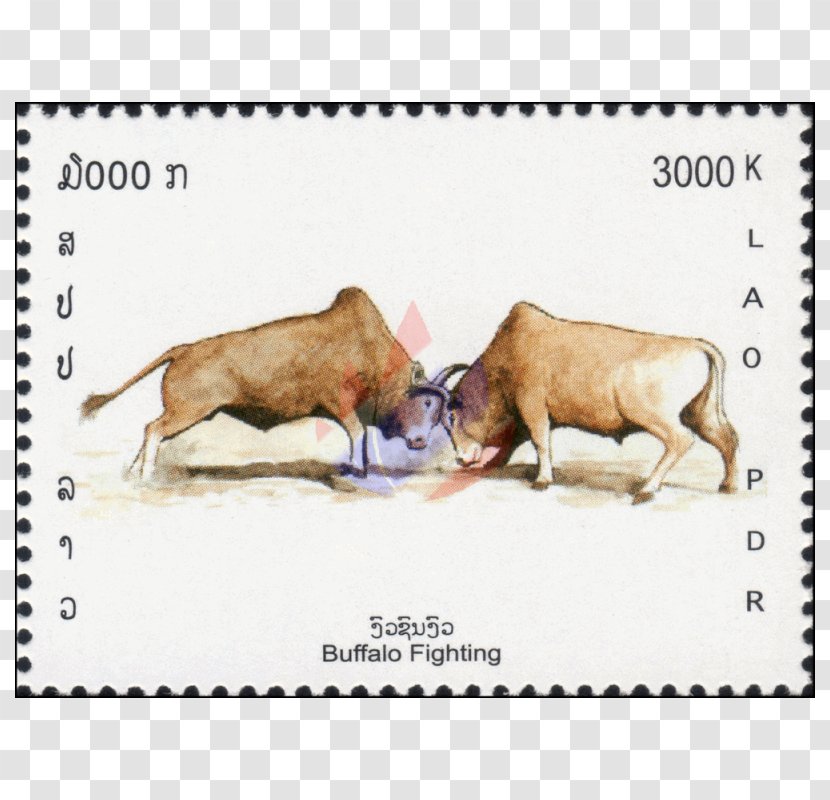 Dog Cattle Snout Mammal Wildlife Transparent PNG