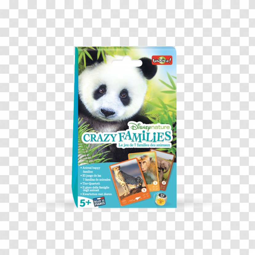 Happy Families Card Game Board Bioviva - Dobble - Dice Transparent PNG