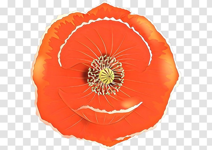 Orange - Plant - Poppy Coquelicot Transparent PNG