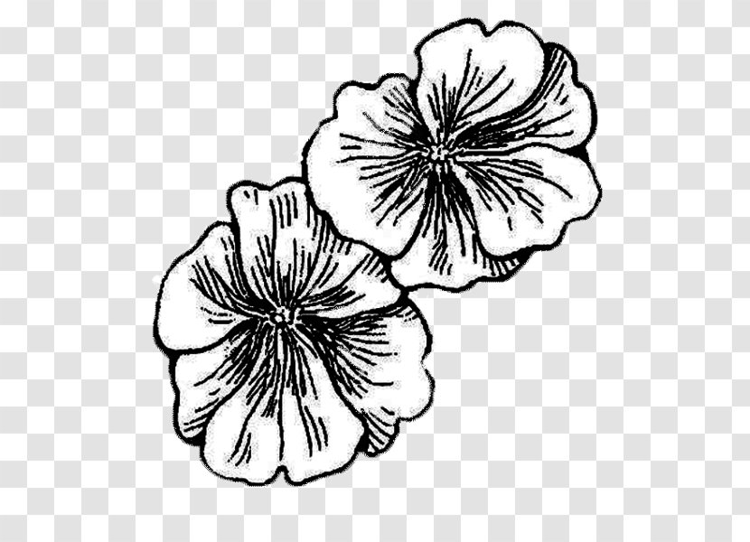 Pansy Drawing Mallows - Petal - Design Transparent PNG