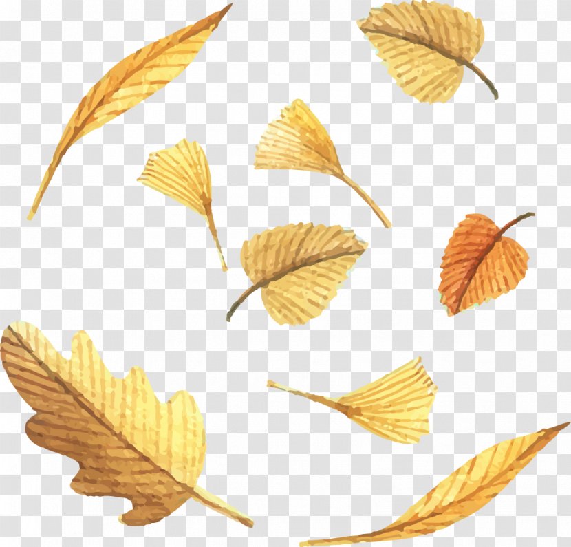 Leaf Euclidean Vector Deciduous - Autumn - Painted Golden Leaves Transparent PNG