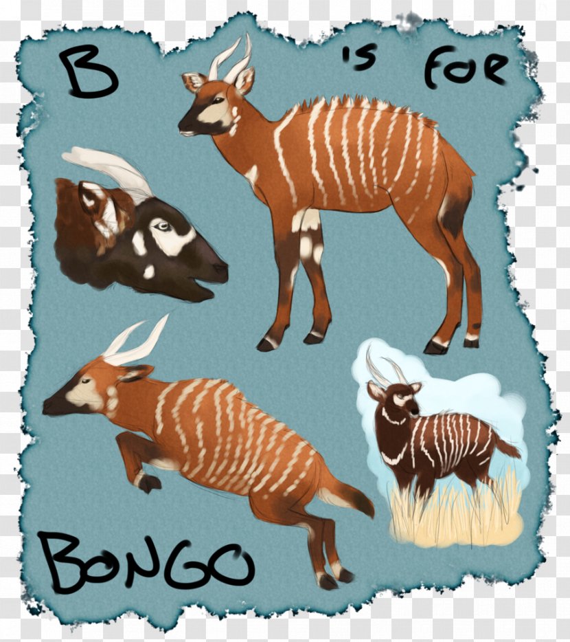 Quagga Clip Art Illustration Fauna Wildlife - Bongo Animal Transparent PNG