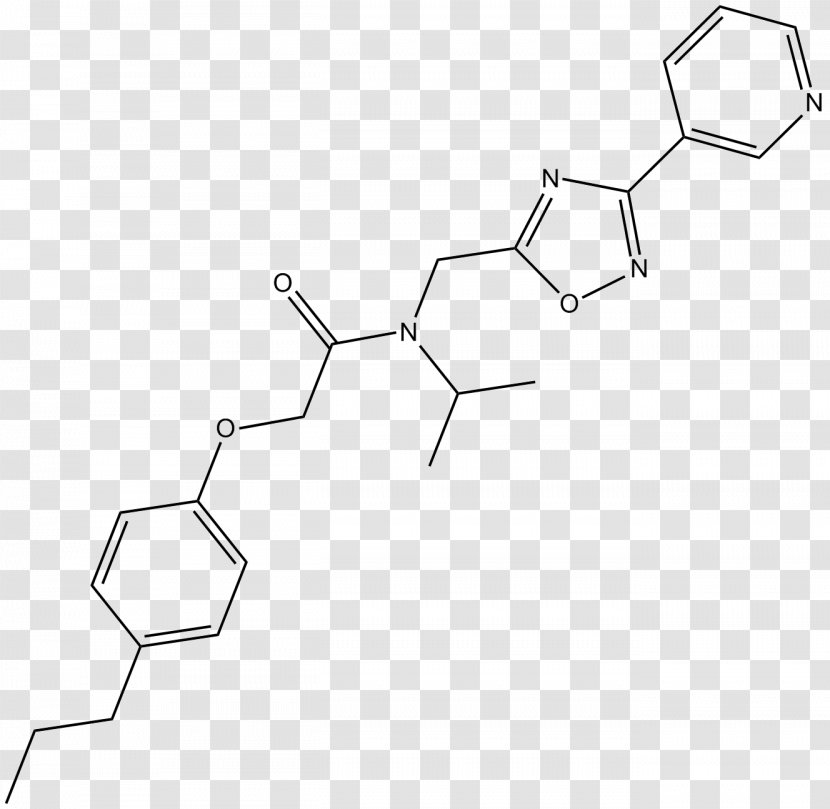 Drawing White Point - Black And - Pathway Transparent PNG