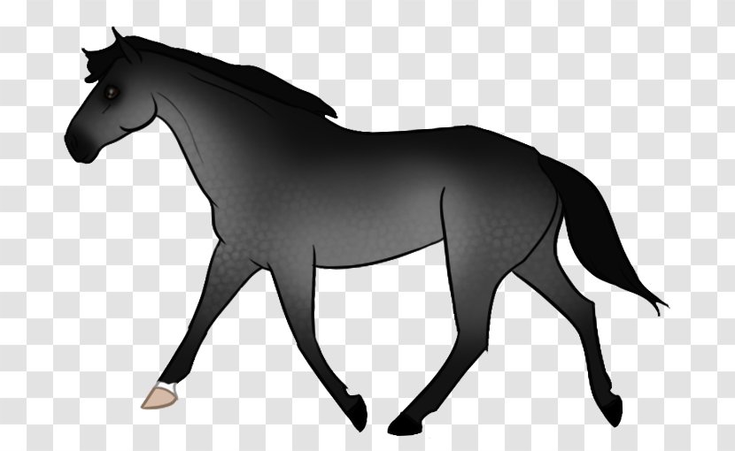 Mane Pony Stallion Mustang Rein - Halter Transparent PNG